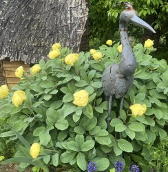 wendelboi IMG_1336 (1)
